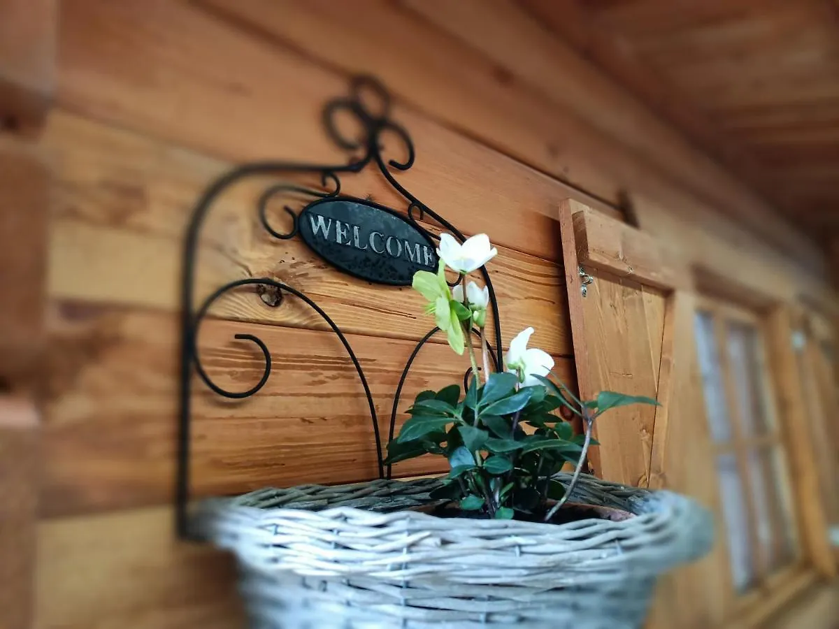Bed and breakfast B&B Il Ghiro Riolunato